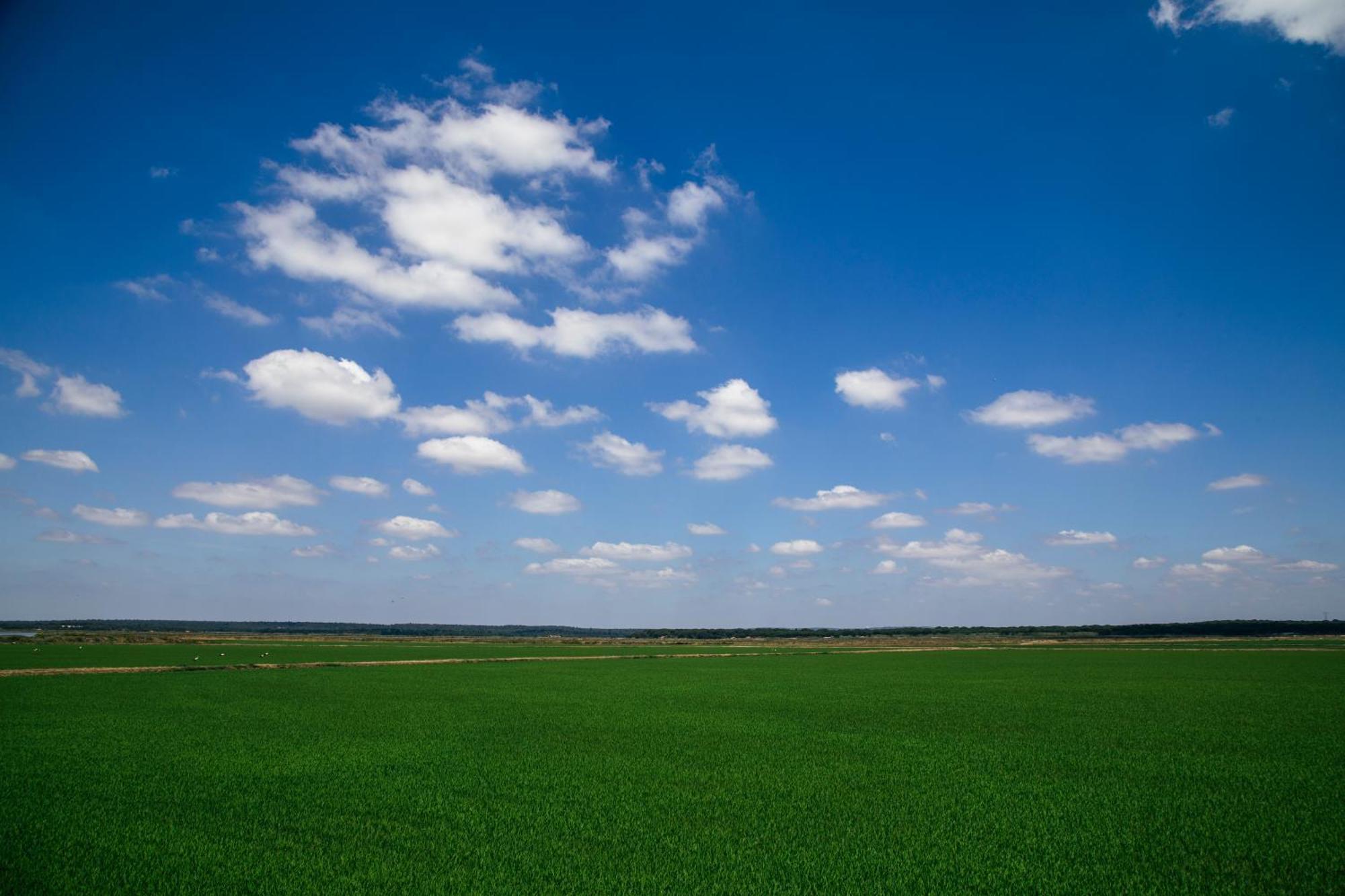 Herdade De Montalvo - * Comporta
