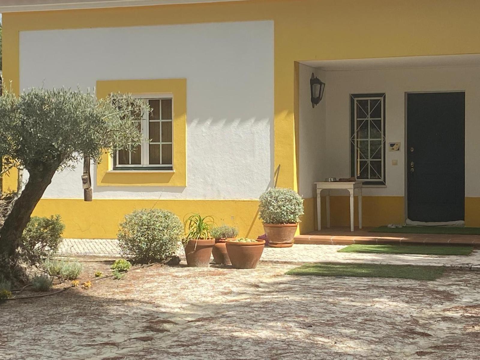 Herdade De Montalvo - *