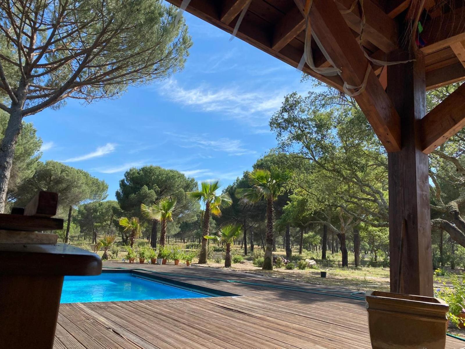 Herdade De Montalvo - Comporta