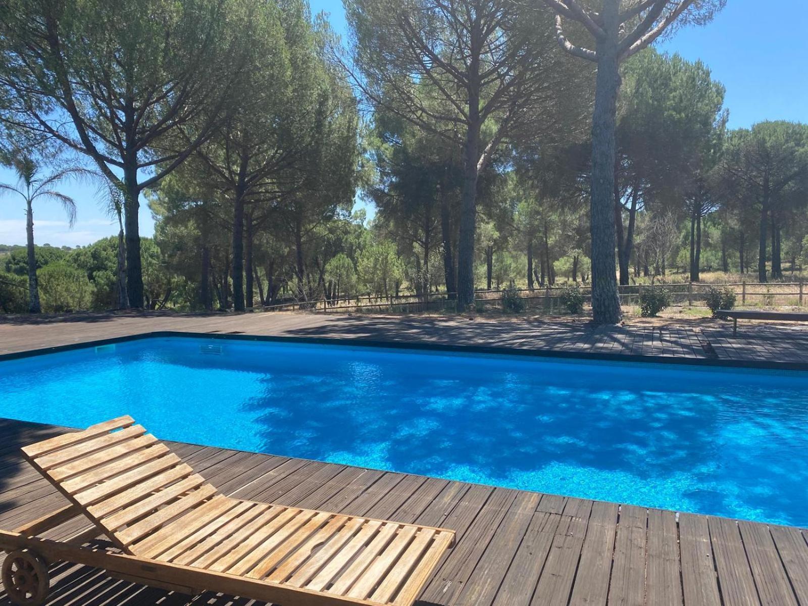 Appartement Herdade De Montalvo -